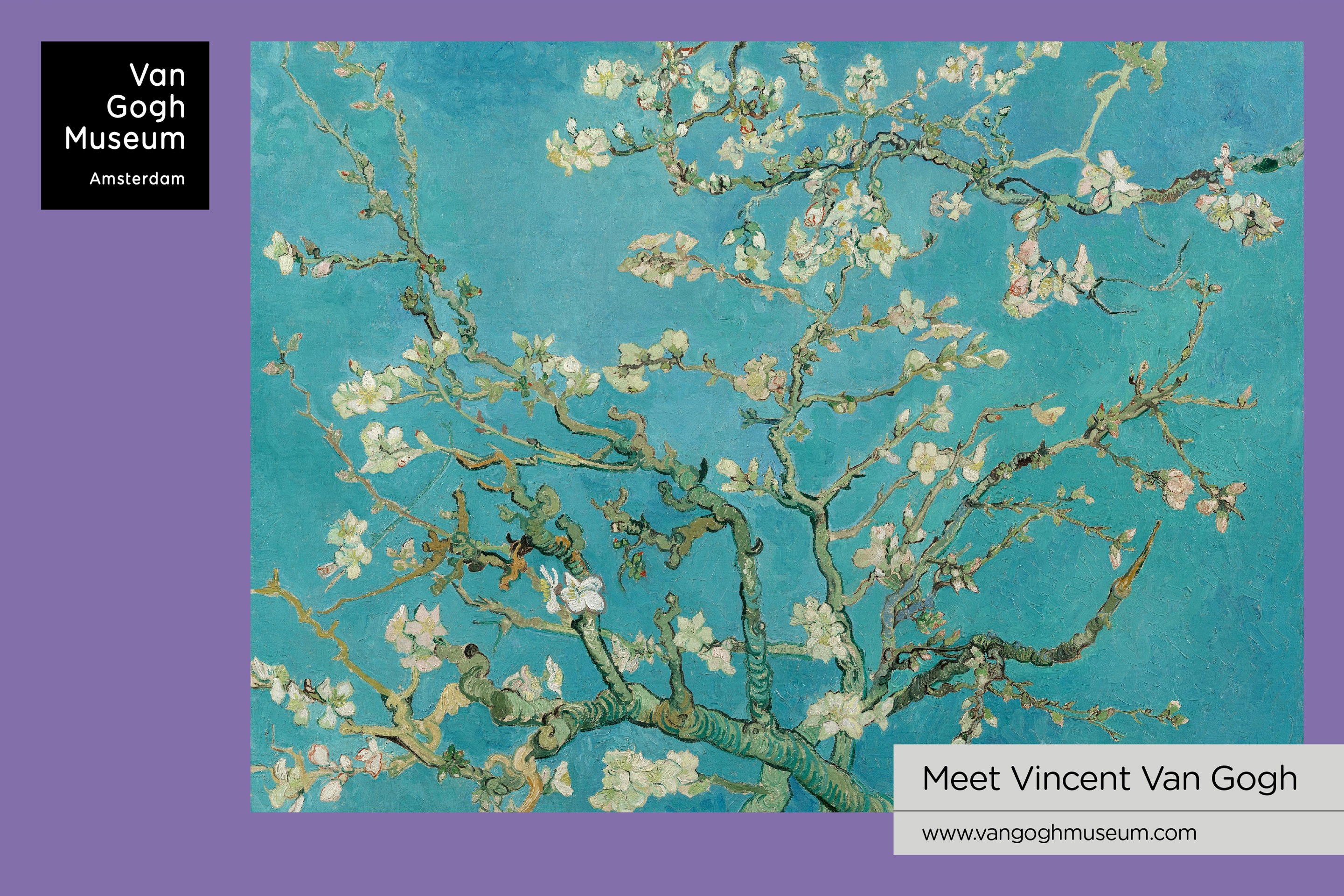 studio dumbar vincent van gogh museum tree